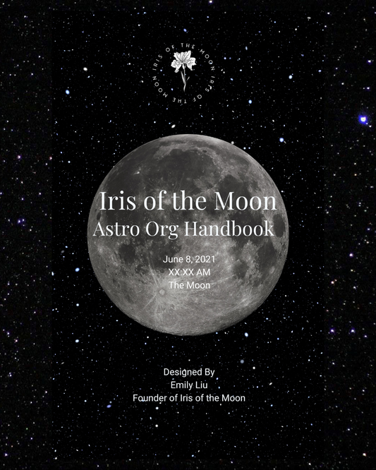 Birth Chart Reading - Astro Org Chart Handbook