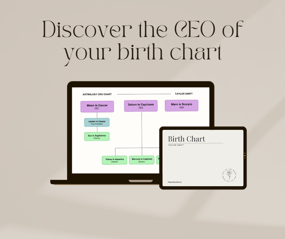 Astro Org Chart Reading (CEO Birth Chart)