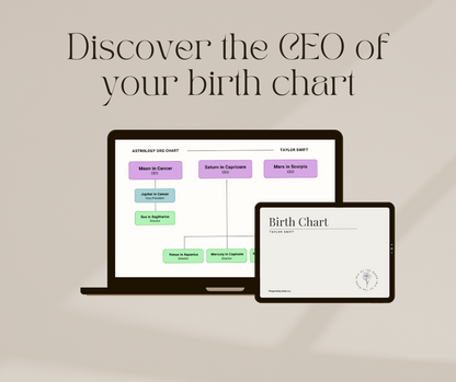 Astro Org Chart Reading (CEO Birth Chart)