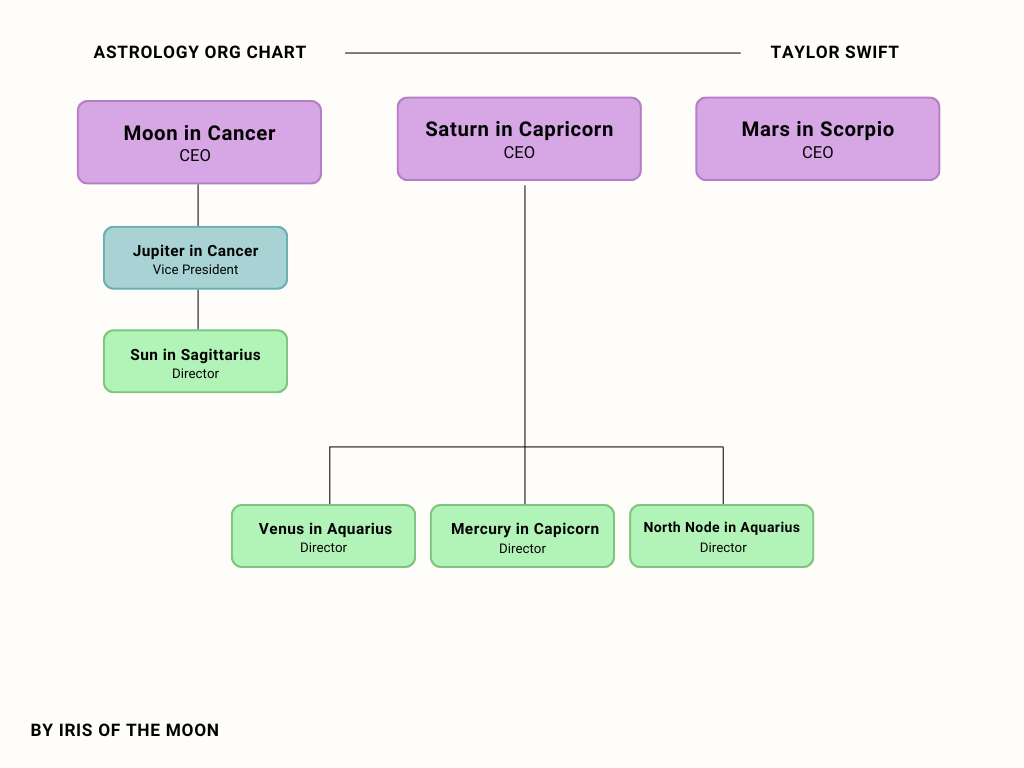 Astro Org Chart Reading (CEO Birth Chart)