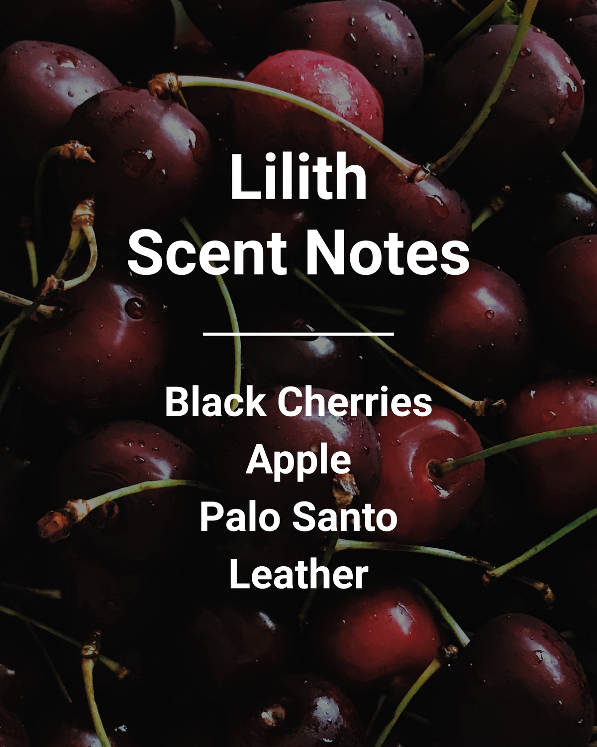 Lilith scent notes list: Black Cherries, Apple, Palo Santo, Leather over a dark, moody pile of ripe cherries.